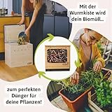 Wurmkiste aus Holz als Bausatz