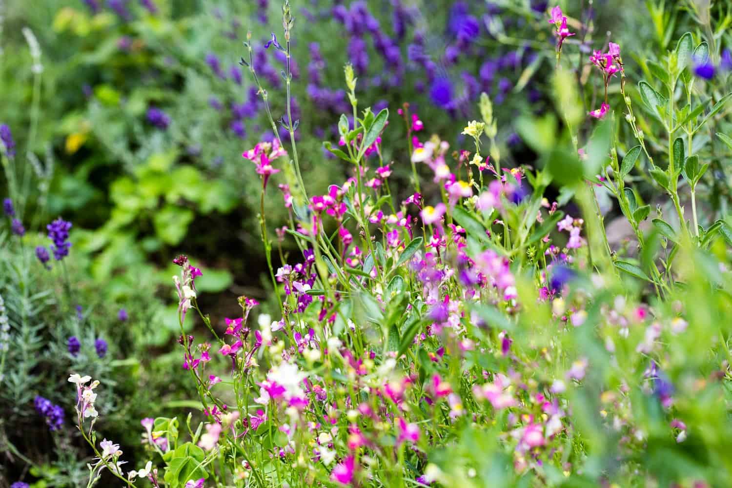 Welche Kosten fallen bei der Gartengestaltung an? Die wichtigsten Kostenfaktoren mit Summen. Wo kann man Kosten einsparen? Mit praxiserprobten Spartipps.