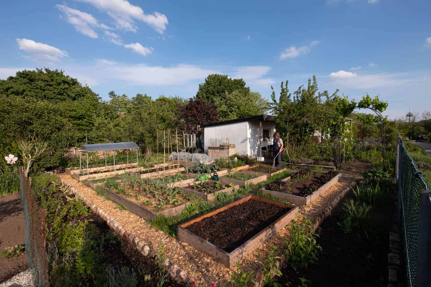 Garten automatisch bewässern