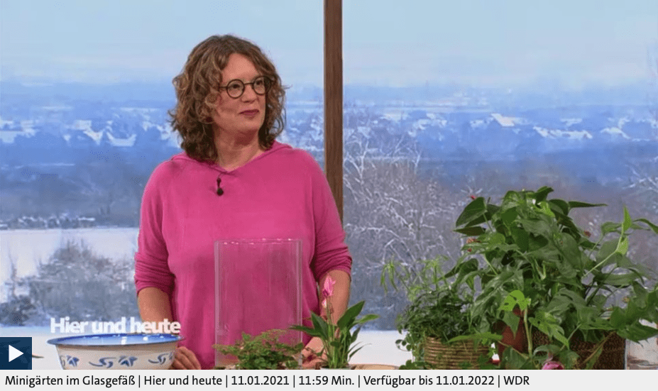Minigärten im Glasgefäß, Anja Klein bei Hier und Heute