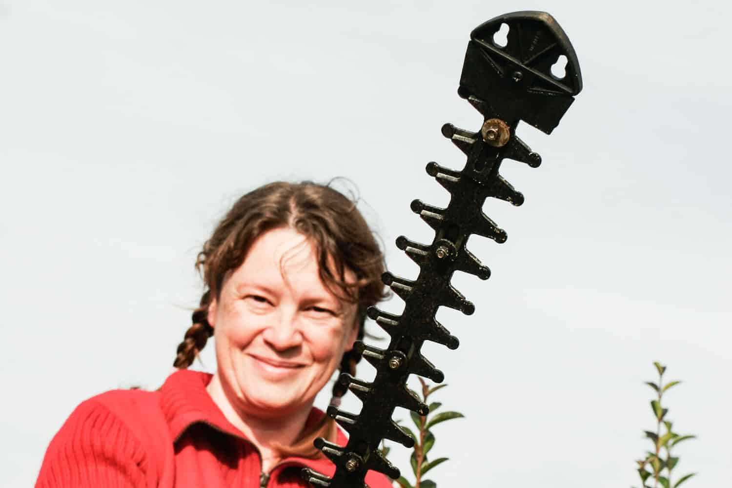 ligusterhecke schneiden