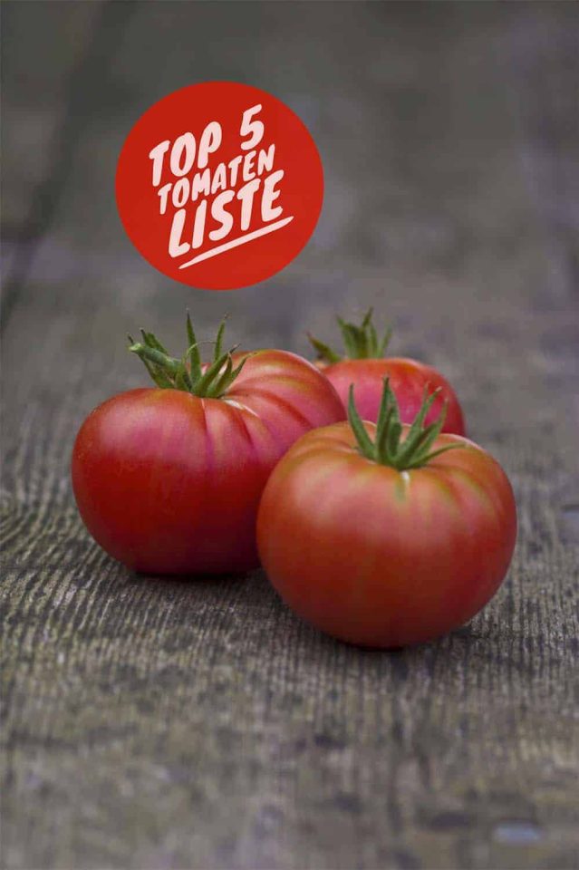 Meine bewährte Top Five Tomatenliste: Lahmann Pink, saftig süße Fleischtomate mit riesigen Früchten