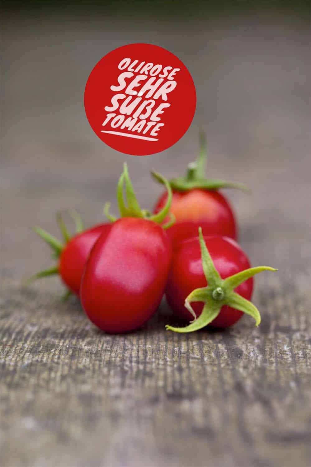 Meine bewährte Top Five Tomatenliste: Olirose, sehr süße Cocktailtomate, Gewächshaussorte, Braunfäuleanfällig