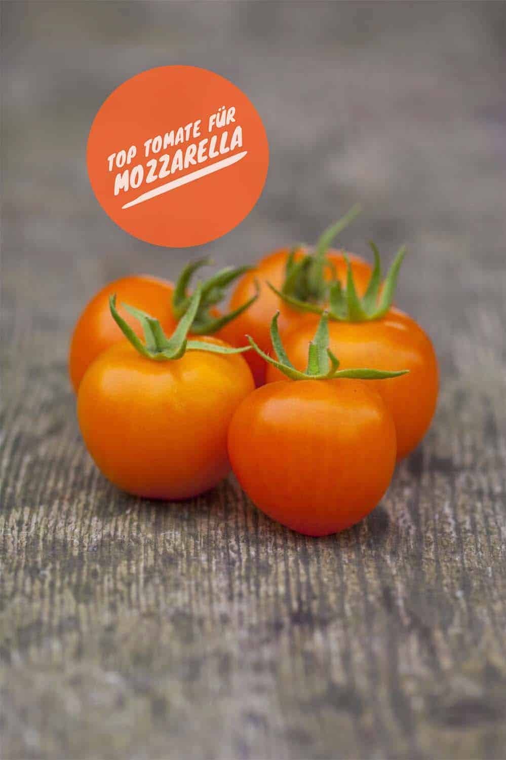 Meine bewährte Top Five Tomatenliste: Orange Blum, kleine Cocktailtomaten, sehr wuchsfreudig und gesund