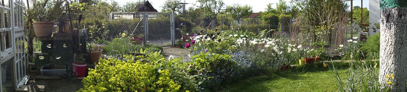 unser garten im mai-18
