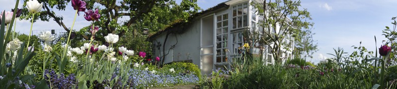 unser garten im mai-19
