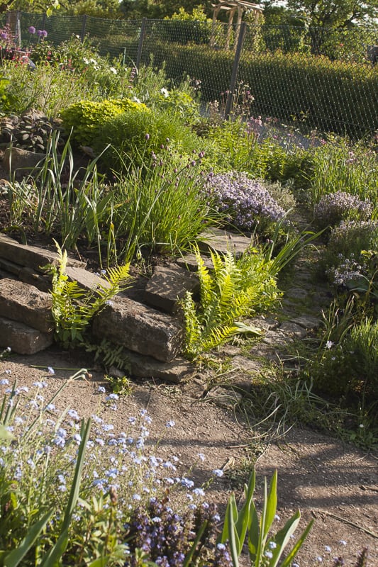 unser garten im mai-2