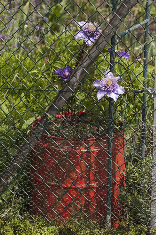 unser garten im mai-8
