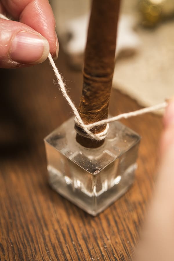 DIY Geldbaum Zimtstange aufstellen