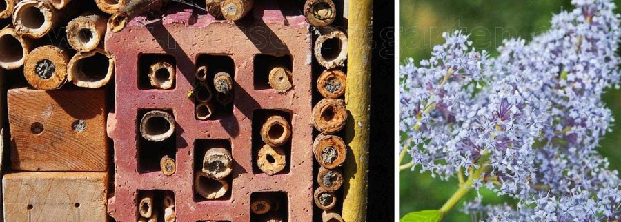 Mein Gartenjahr in zwölf Bildern Insektenhotel im Garten