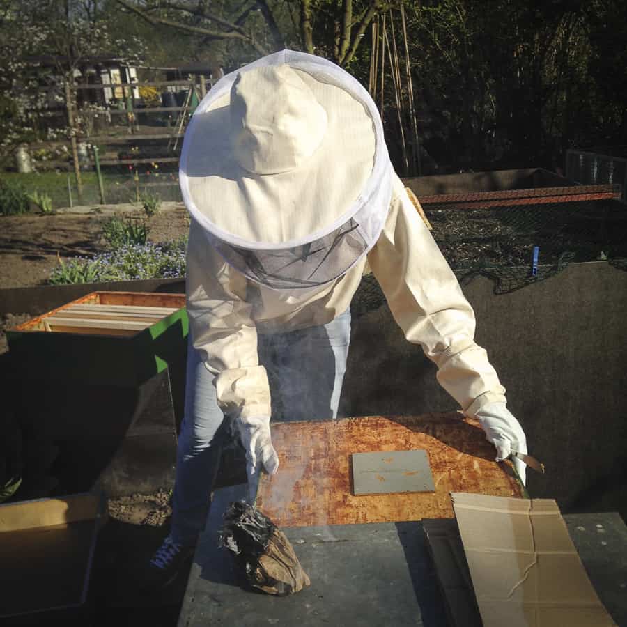 Bienen Honigraum aufsetzen