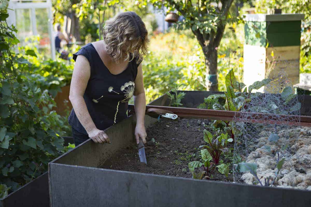 hochbeete im garten