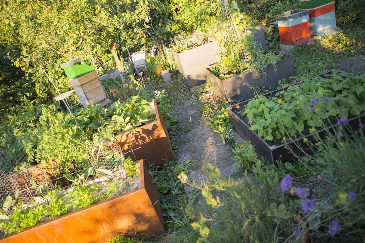 hochbeete im garten