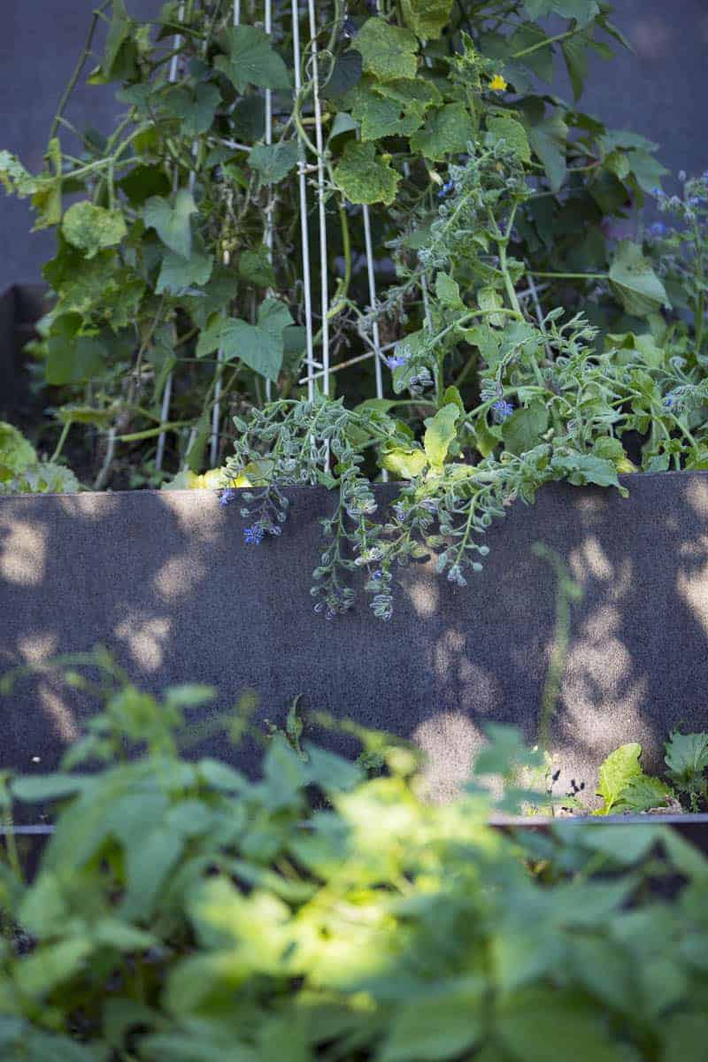 hochbeete im garten