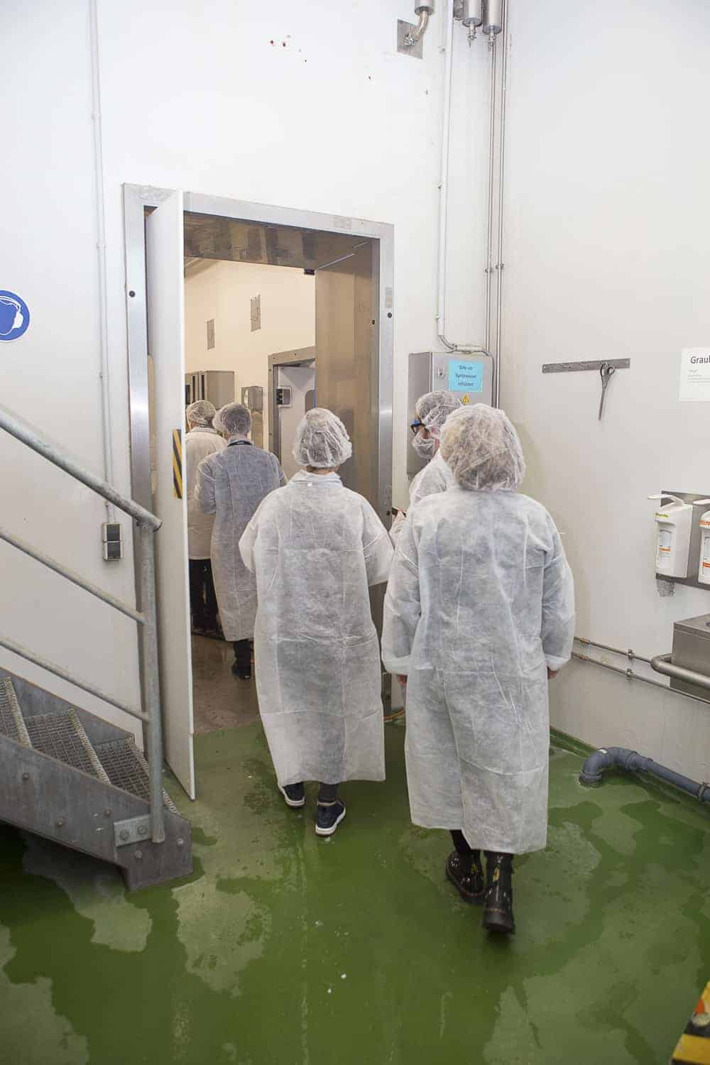 besichtigung tofuproduktion