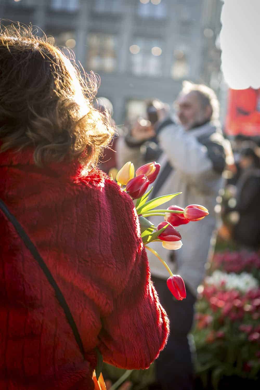 tulpentag amsterdam