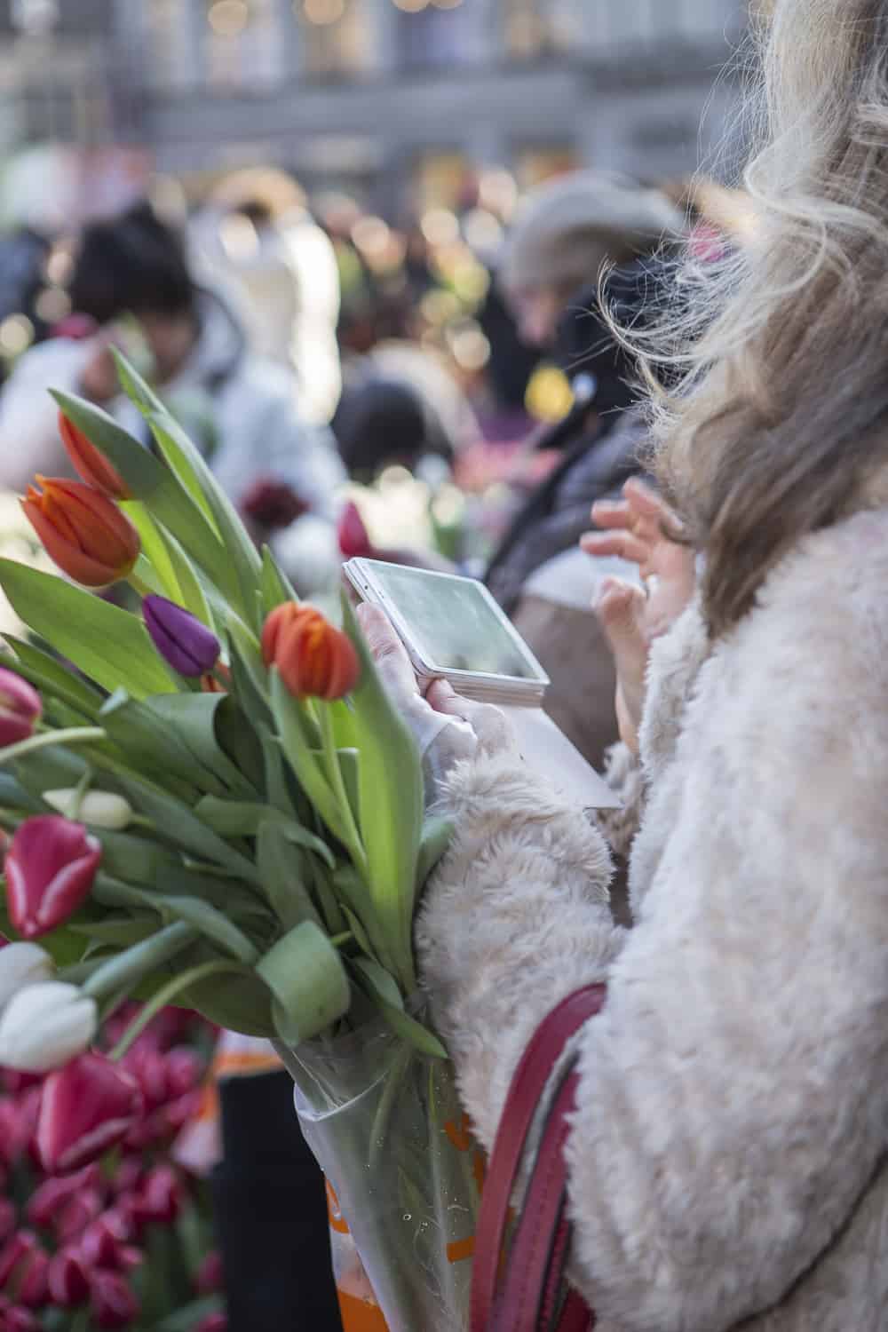 tulpentag amsterdam