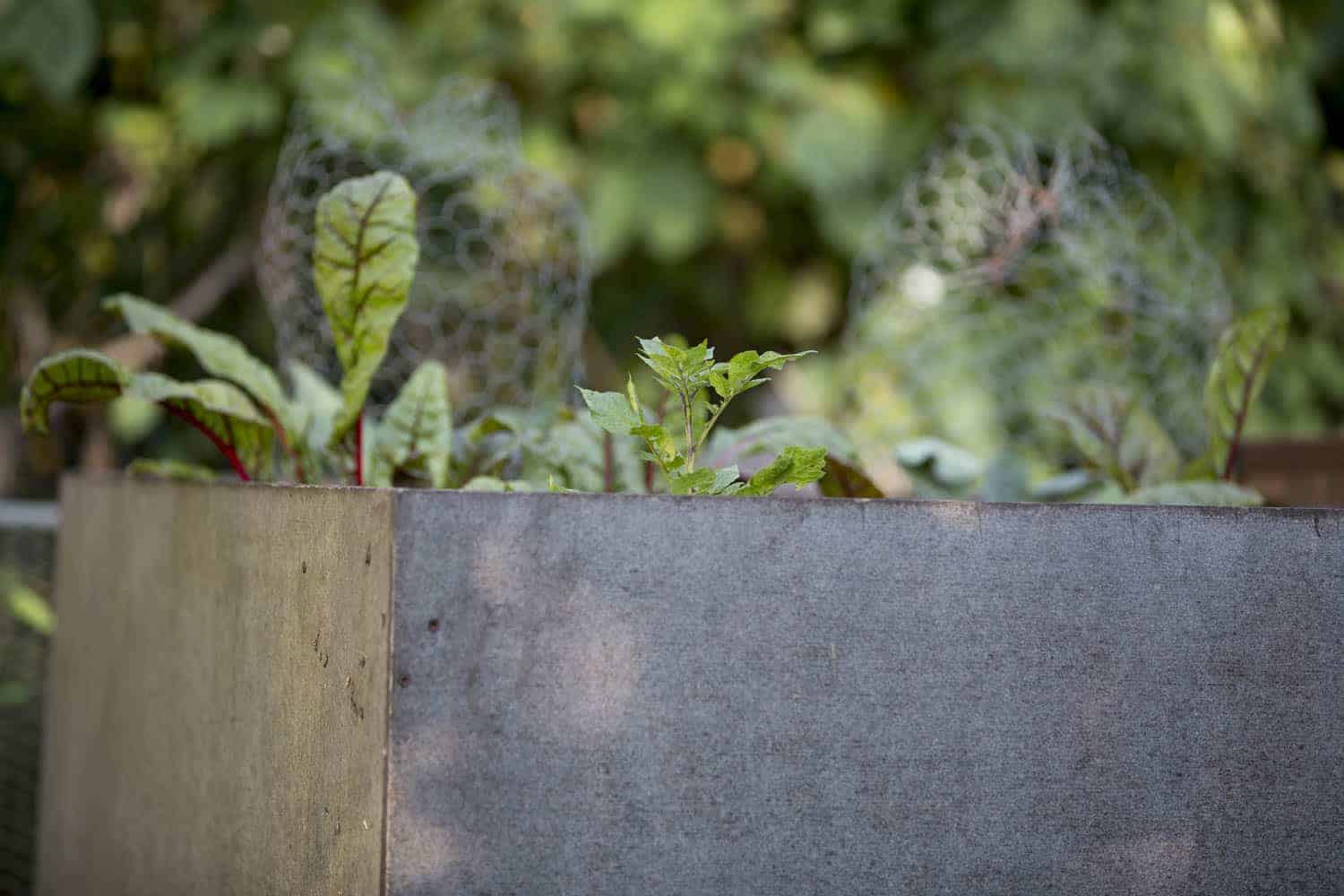 selbst gebautes Hochbeet aus Siebdruckplatten