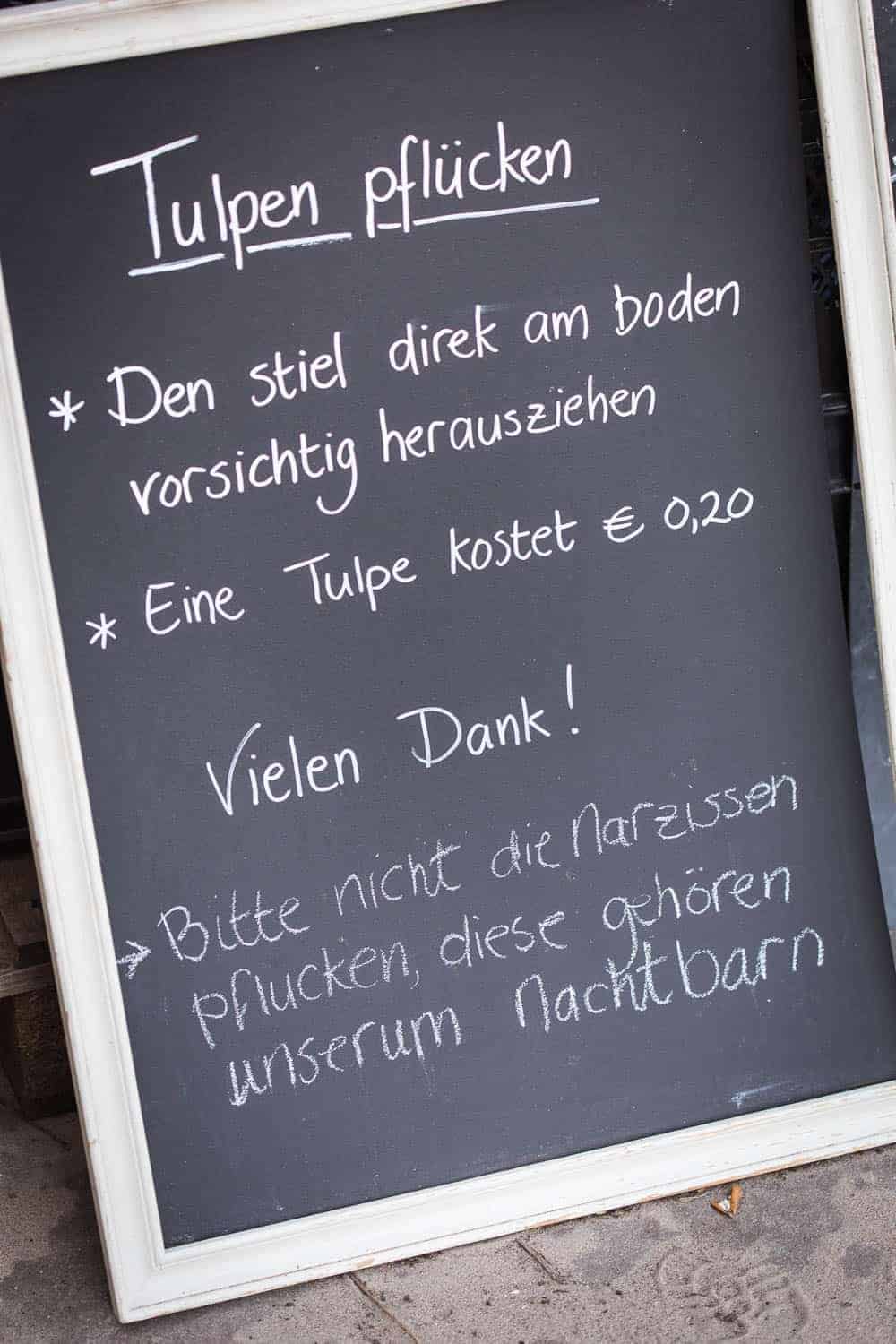 annemiekes pluktuin