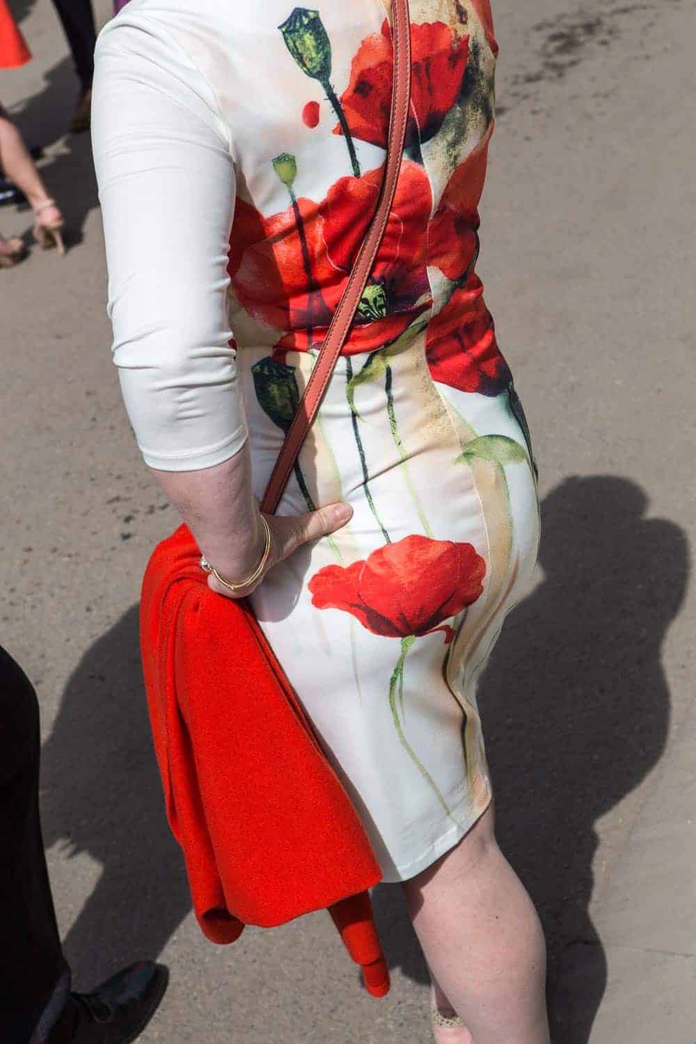 Chelsea flower show 2017 Besucher