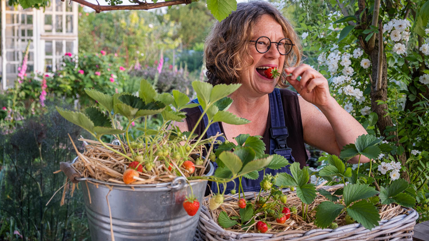 Erdbeeren auf dem Balkon – Tipps für eine reiche Ernte