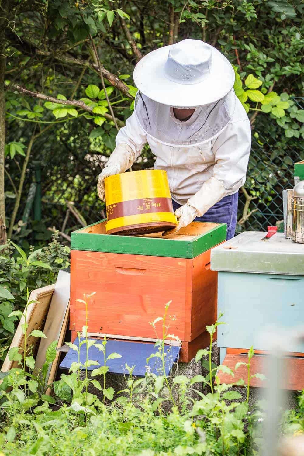 Bienensaison 2017 füttern