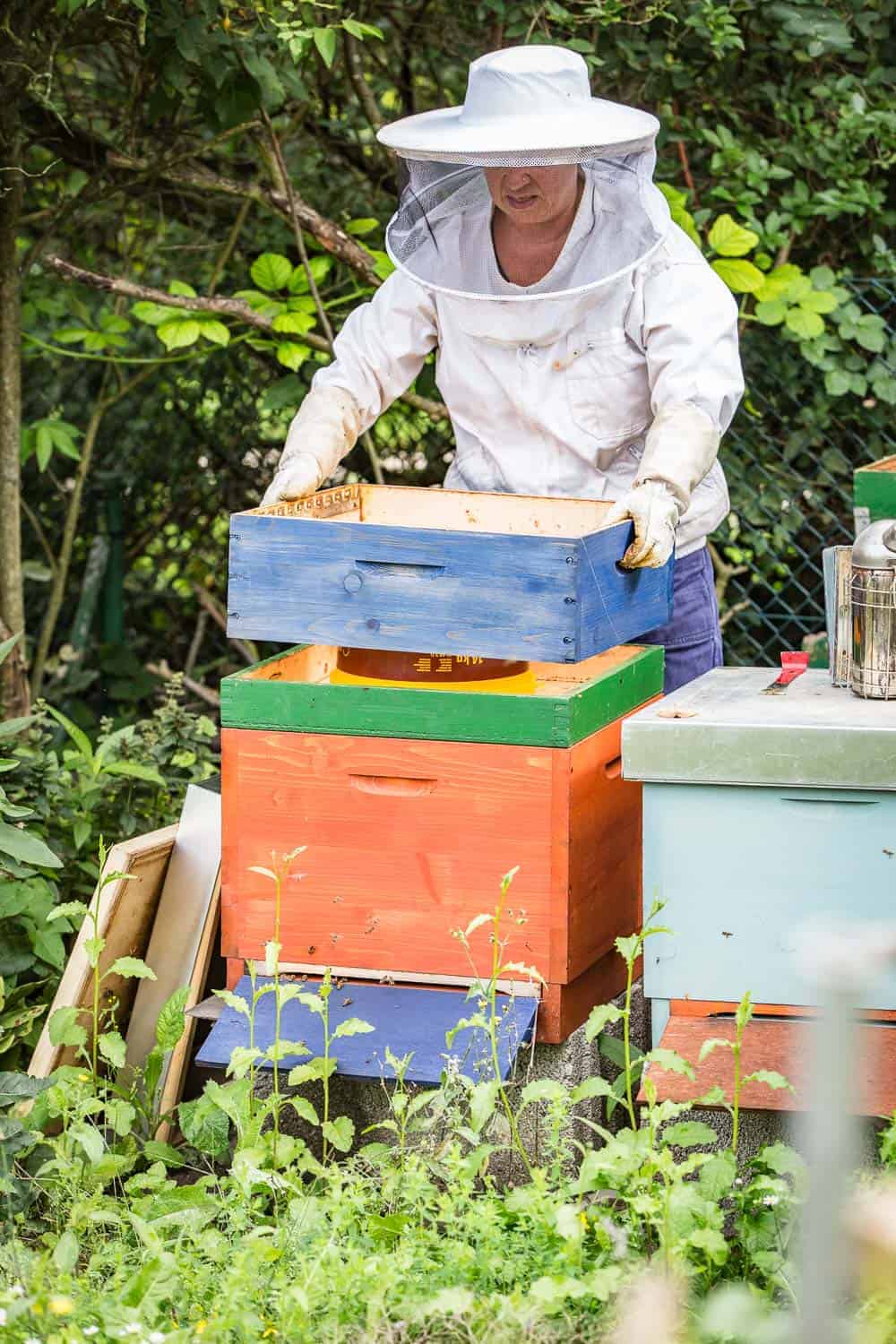 Bienensaison 2017 füttern