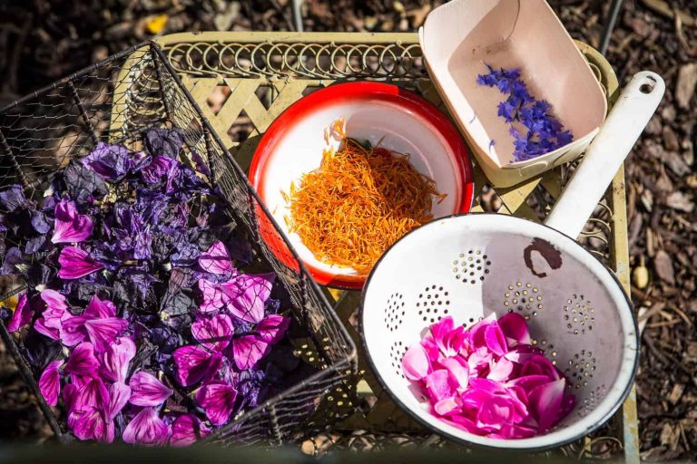 kräutertee selber machen - mit drei Rezepten zum selbst mischen