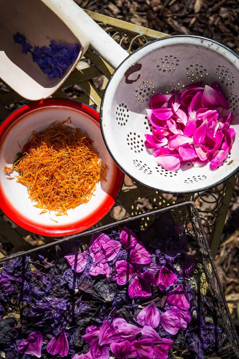 kräutertee selber machen - mit drei Rezepten zum selbst mischen