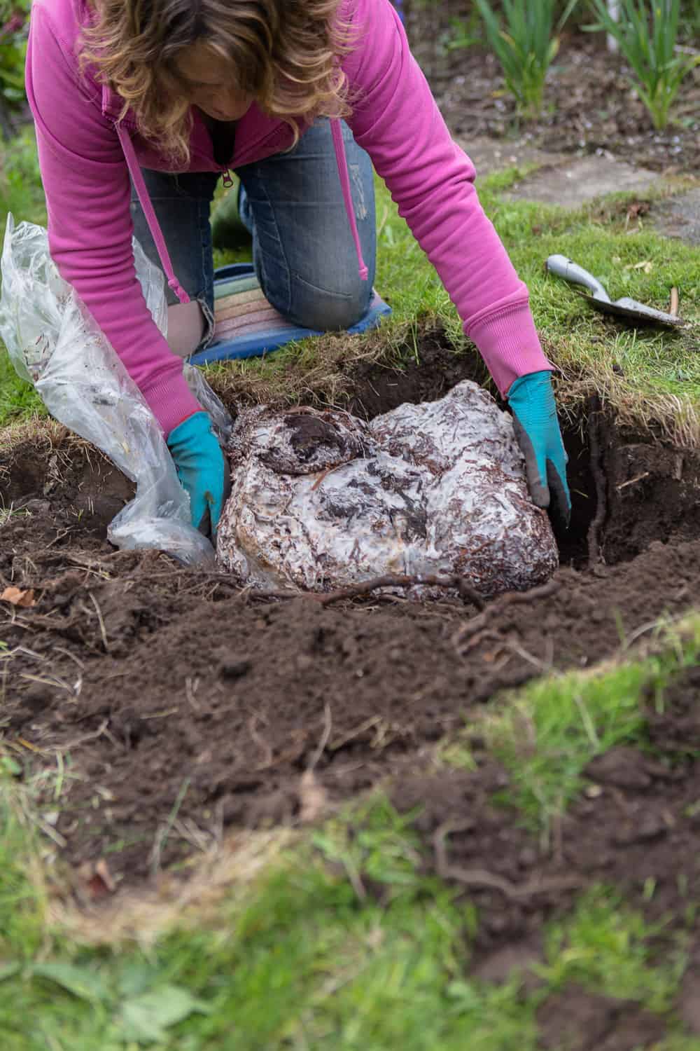 Essbare Pilze im Garten züchten so legt man ein PilzBeet an