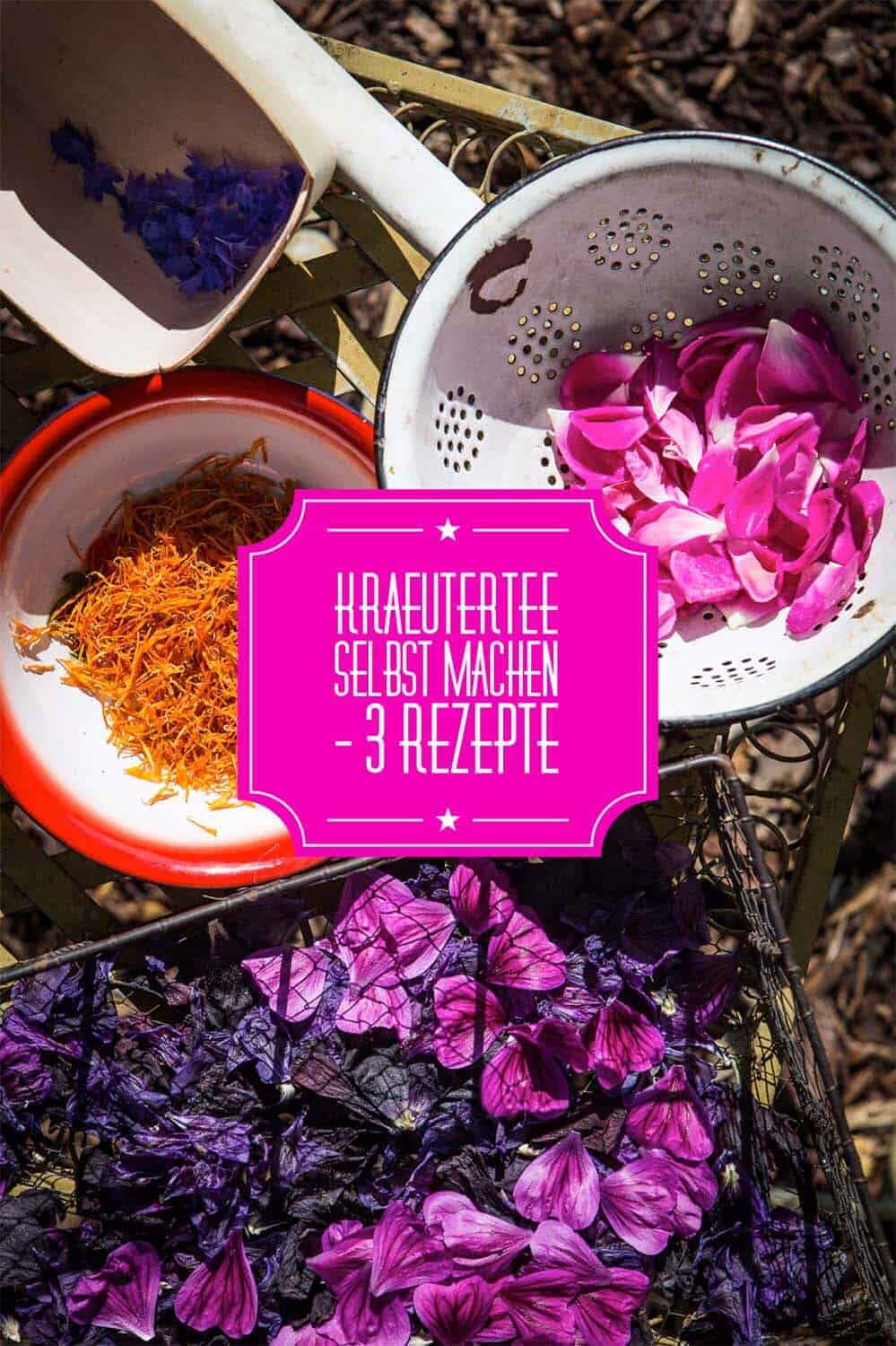 kräutertee selber machen mit drei Rezepten zum selbst mischen