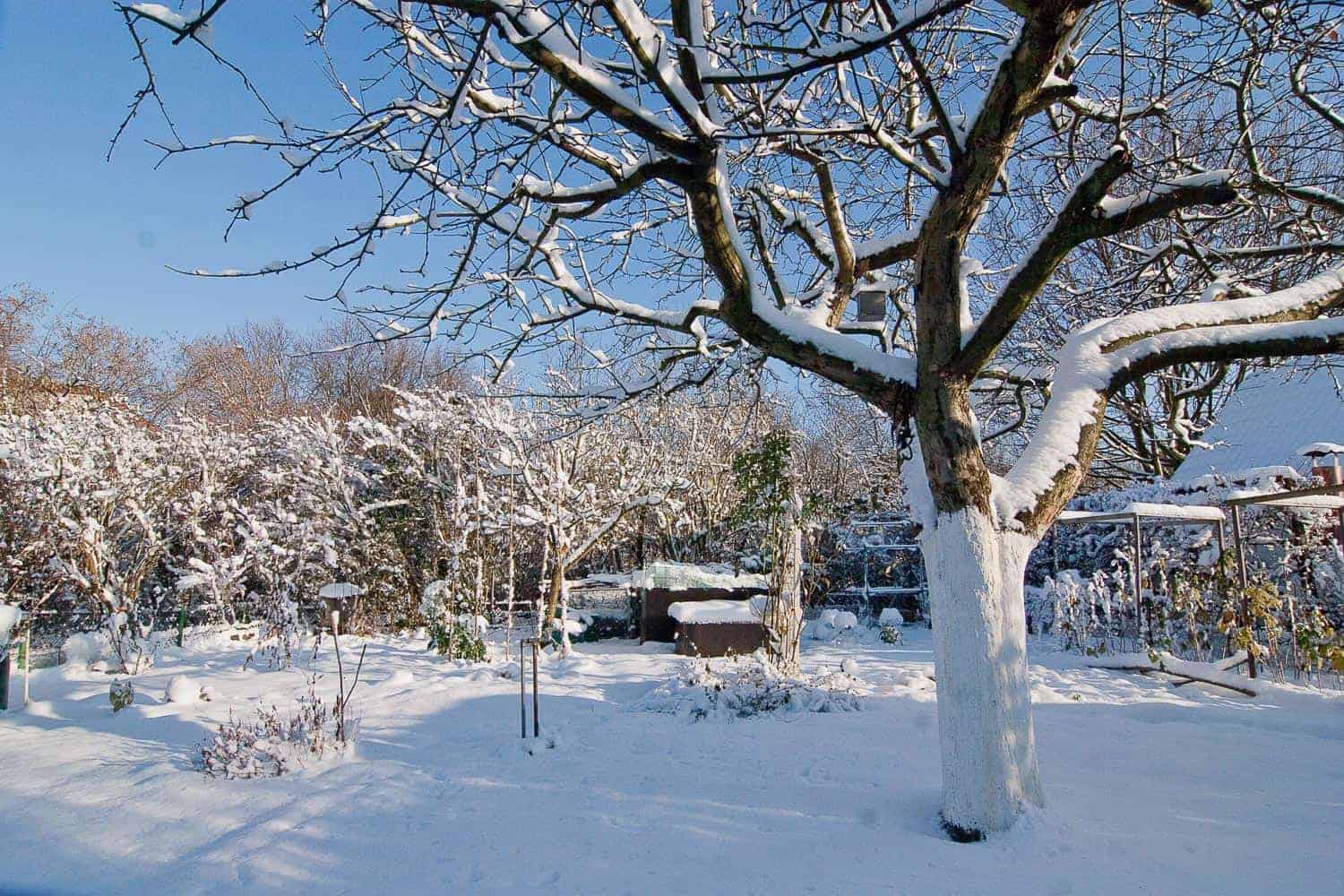Garten Winterfest Machen Gräser teich winterfest machen den gartenteich winterfest machen Garten Winterfest Machen Gräser teich winterfest machen den gartenteich winterfest machen