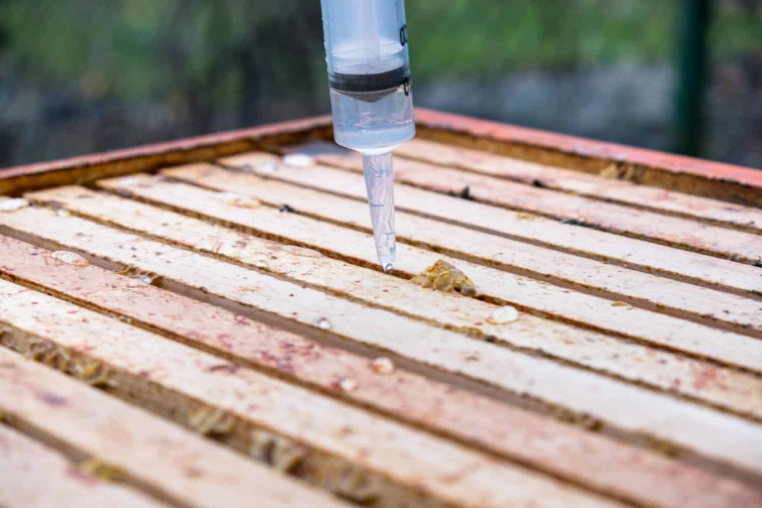 Im Dezember werden meine Bienen noch einmal gegen Varroamilben behandelt. Die Varroabehandlung im Winter ist wichtig, damit die Völker die kalte Jahreszeit möglichst befallsfrei überstehen.