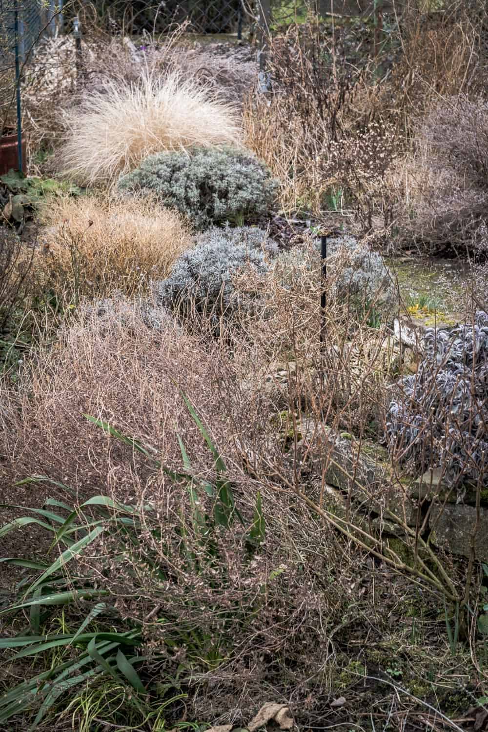 Richtig mulchen im Garten Der kleine