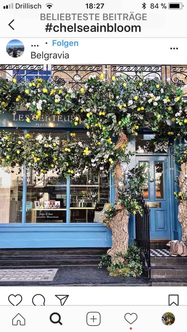Chelsea Flower Show 2018 Chelsea in Bloom