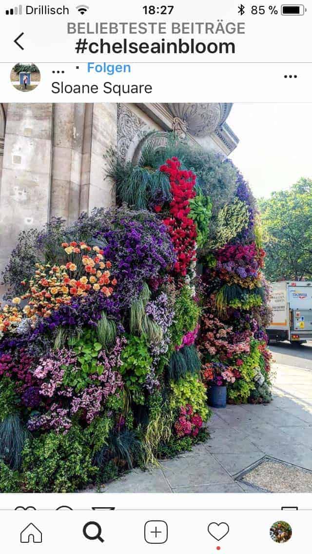 Chelsea Flower Show 2018 Chelsea in Bloom