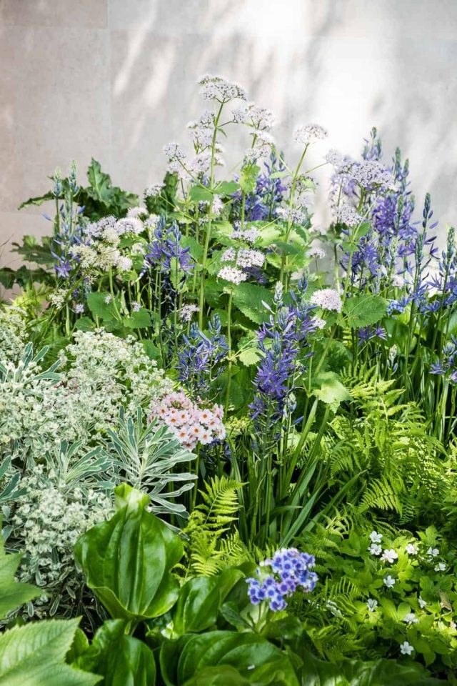 Chelsea Flower Show 2018 The Morgan Stanley Garden for the NSPCC