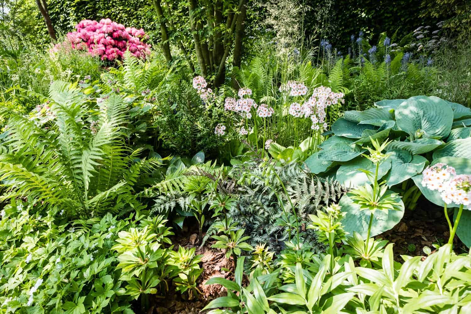 Chelsea Flower Show 2018 The Morgan Stanley Garden for the NSPCC