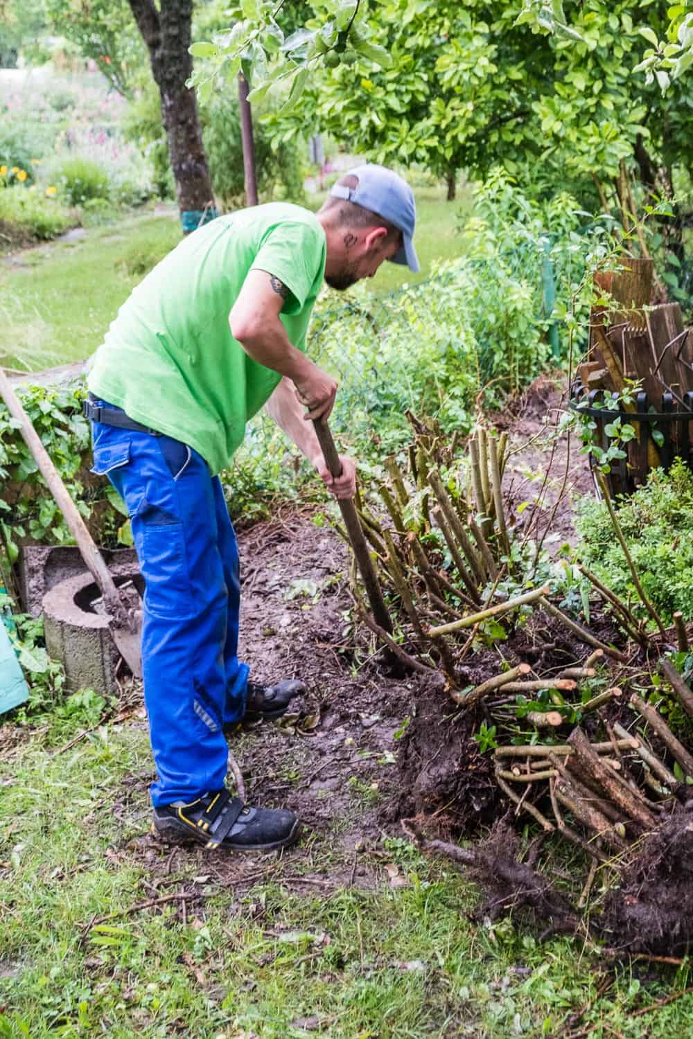 Hecke ausgraben Gartenhelfer SmartHands