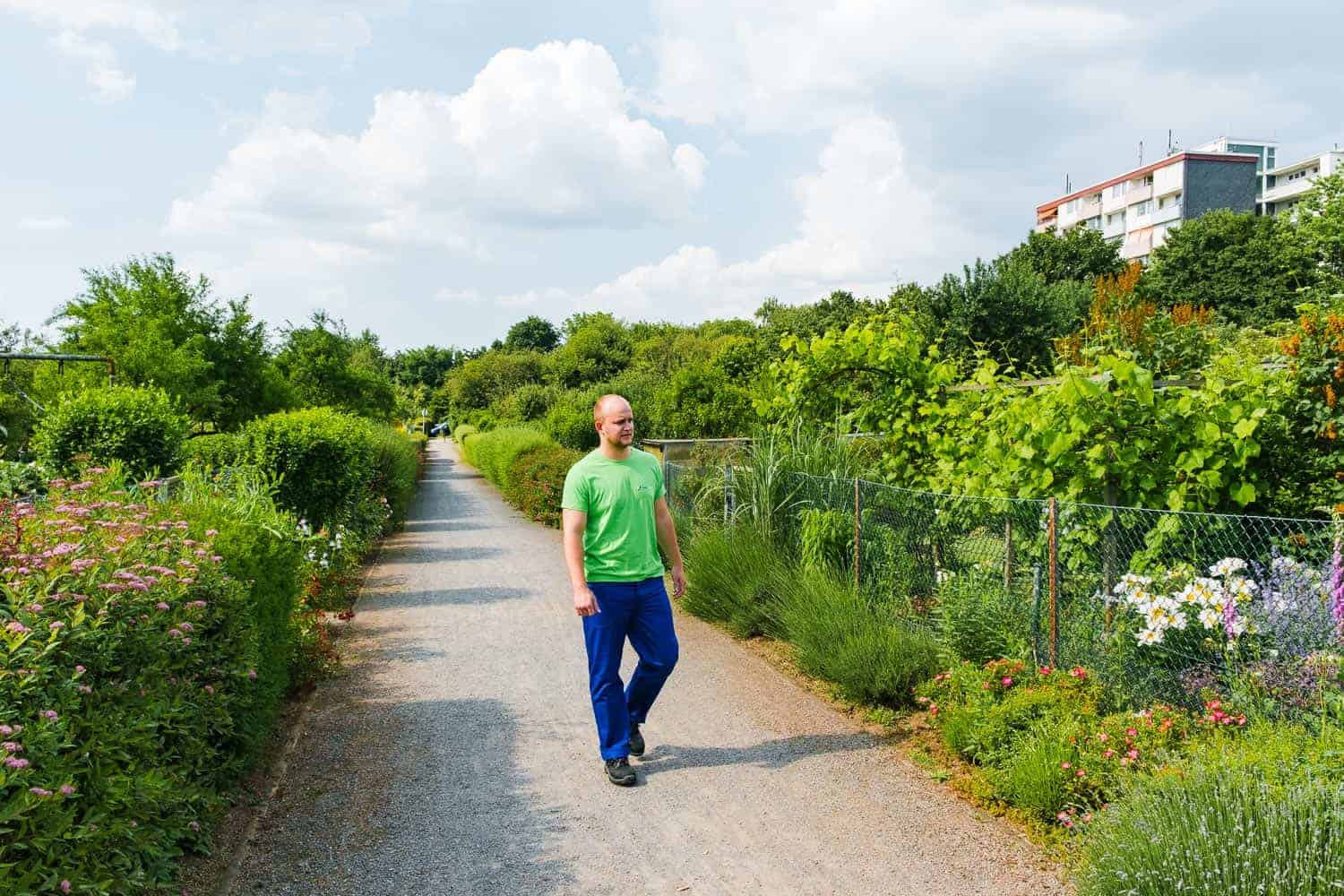 Hecke ausgraben Gartenhelfer Smarthands