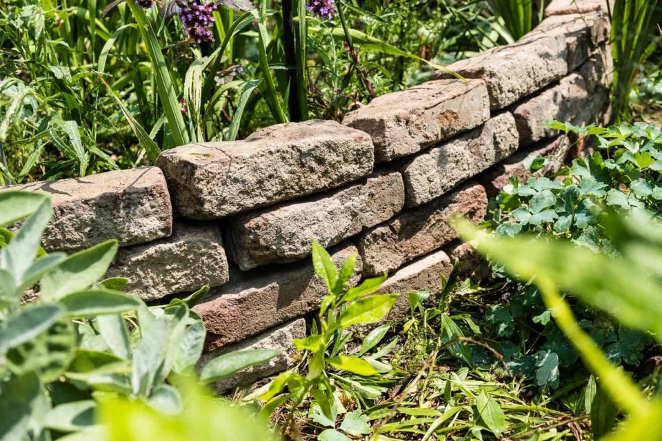 Mit Trockensteinmauern Eidechsen anocken gegen Schnecken im Garten