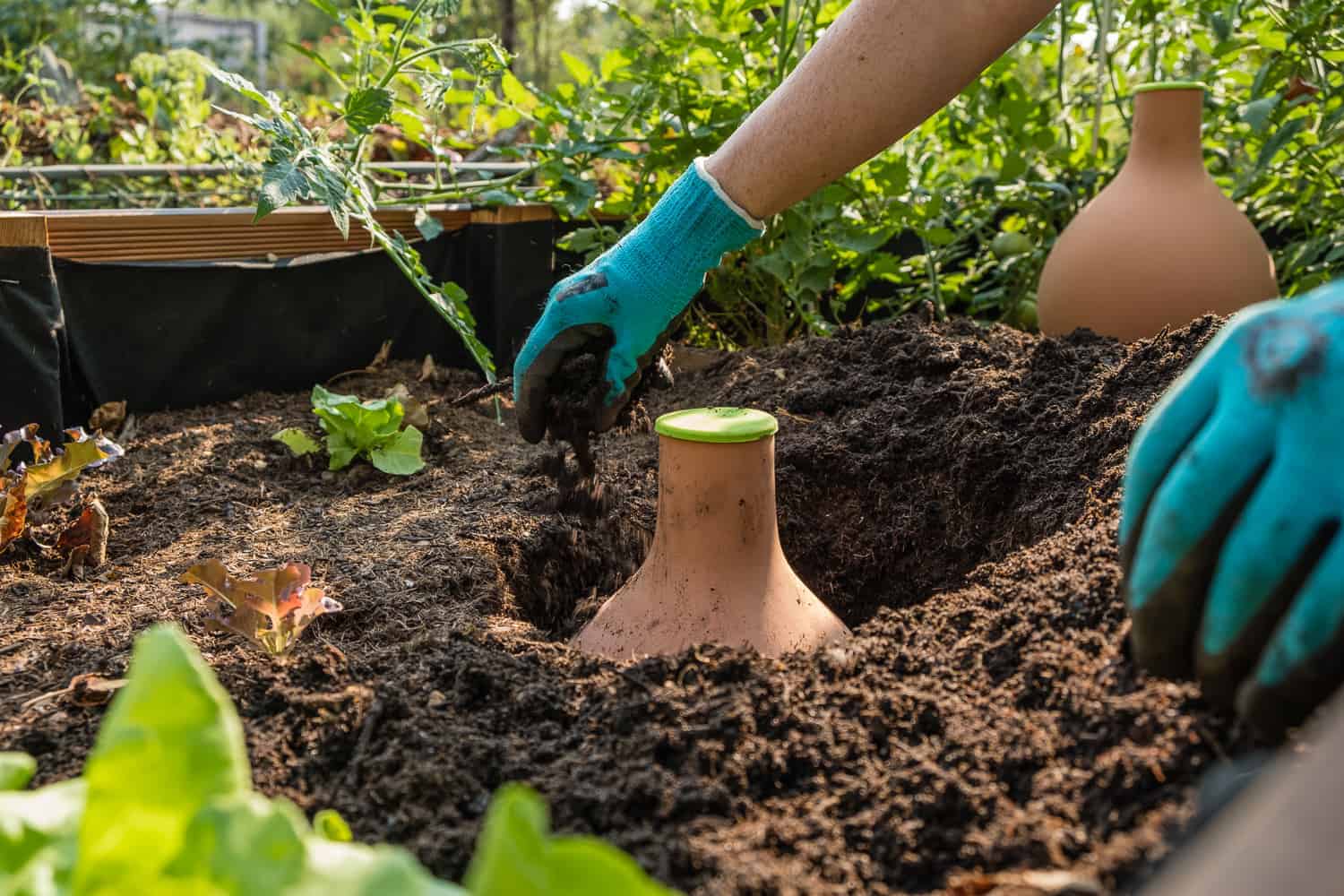 HochbeetErde aus 4 Tipps die dir helfen