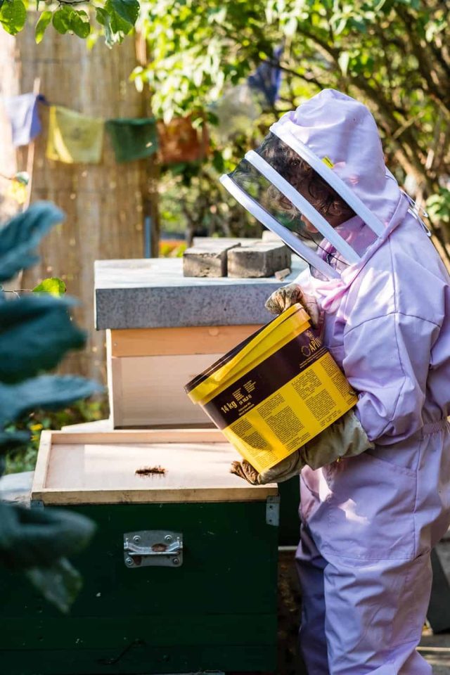 Eimer mit Bienenfutter auf Futterdeckel in Beute aufsetzen
