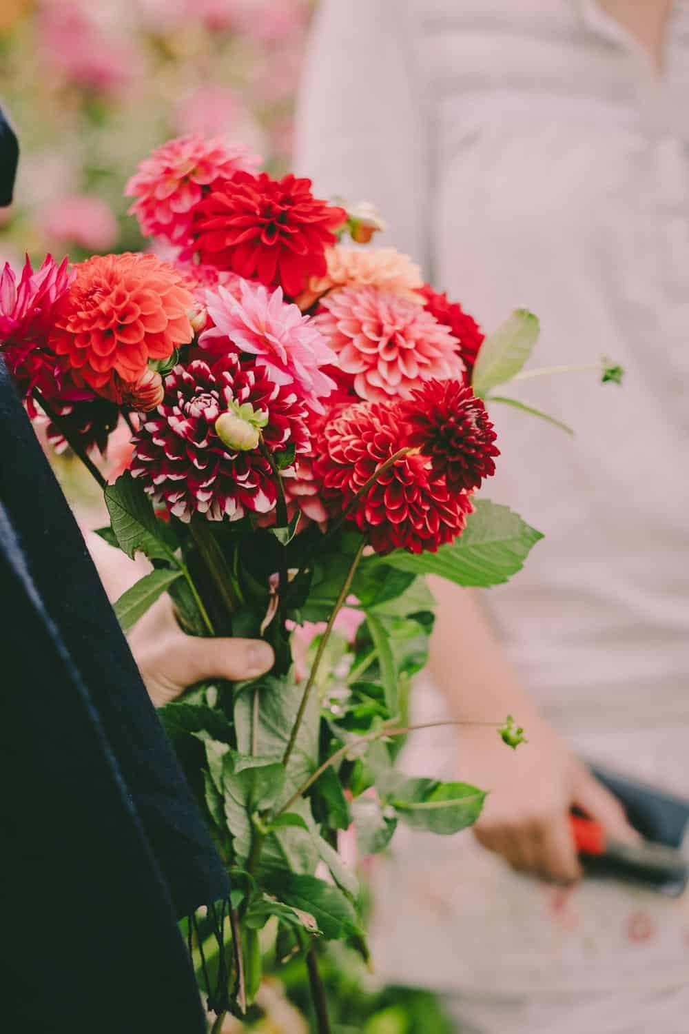 Was kommt dabei heraus wenn zehn Garten-Blogger ein Erntedank-Fest feiern? Üppige Blumendeko, köstliche Gemüsegerichte und sehr glückliche Menschen.