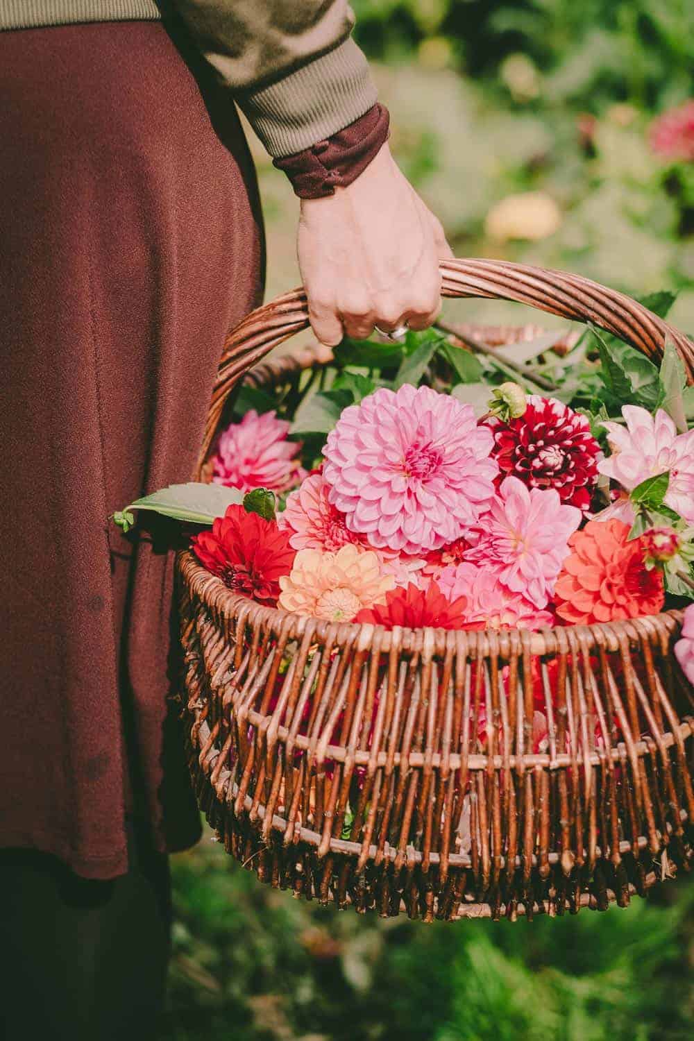 Was kommt dabei heraus wenn zehn Garten-Blogger ein Erntedank-Fest feiern? Üppige Blumendeko, köstliche Gemüsegerichte und sehr glückliche Menschen.