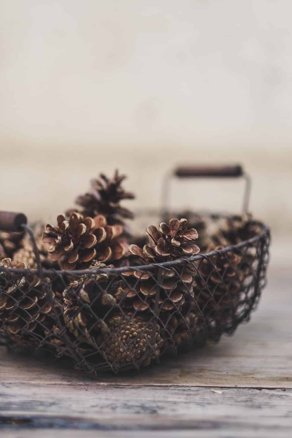 Grill und Kaminanzünder selber machen Zero Waste