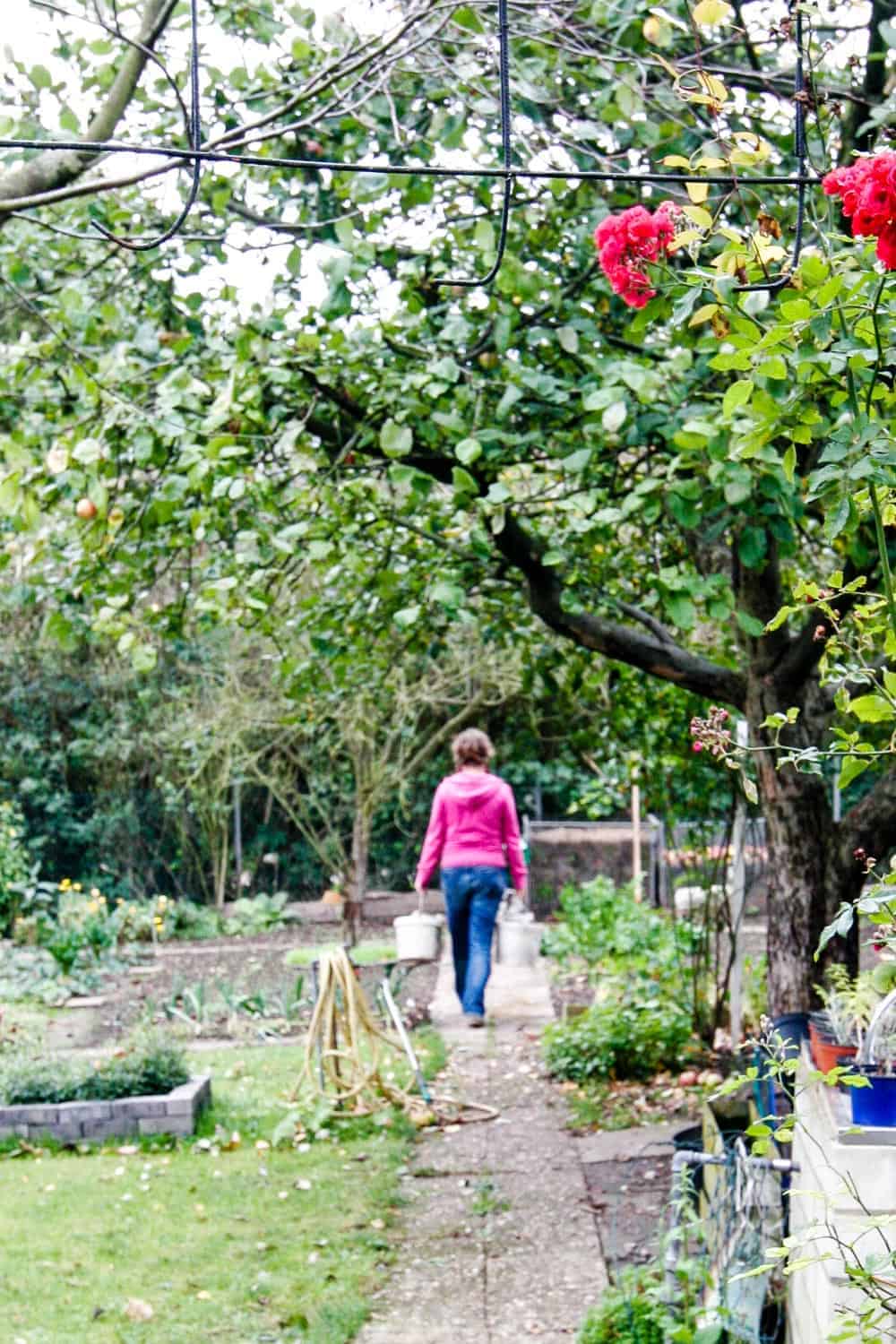 Gartengestaltung Was Kostet Der Spass Der Kleine Horrorgarten