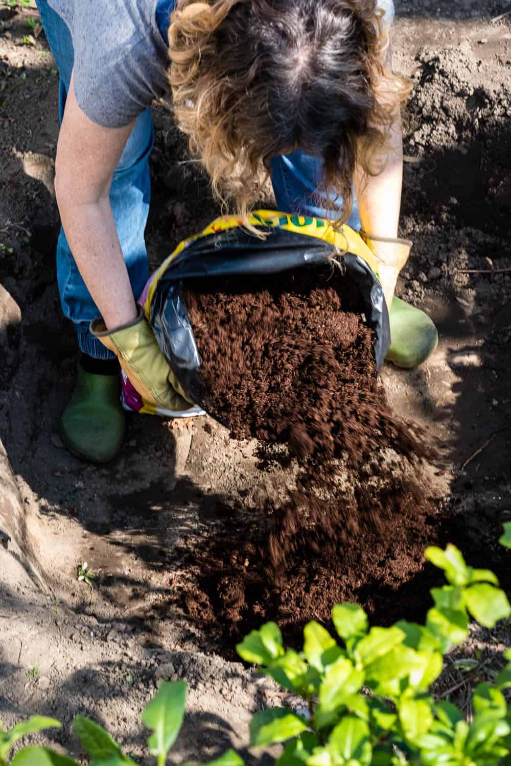 Das Moorbeet wird mit saurer Rhododendron-Erde gefüllt.