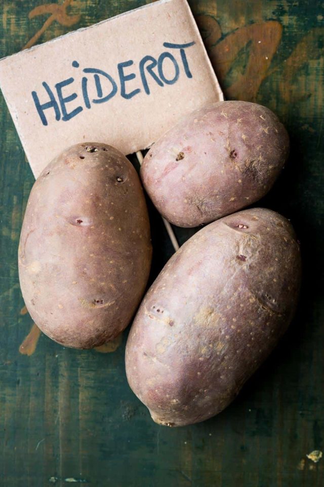die mittelspäte rotfleischige Heiderot zeichnet sich durch einen aromatischen, buttrigen Geschmack aus und eignet sich hervorragend für bunten Kartoffelsalat, Brat- oder Pellkartoffeln.