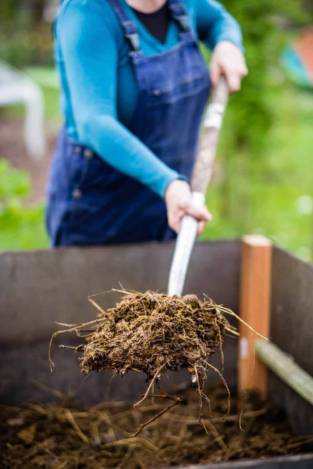 Zweiter Schritt: eine dicke Schicht Pferdemist